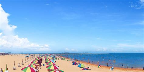 潍坊滨海：盐碱滩崛起生态绿洲_媒体推荐_新闻_齐鲁网