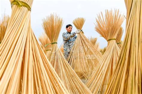 江西宜丰：做“竹”产业 富“绿”经济-人民图片网