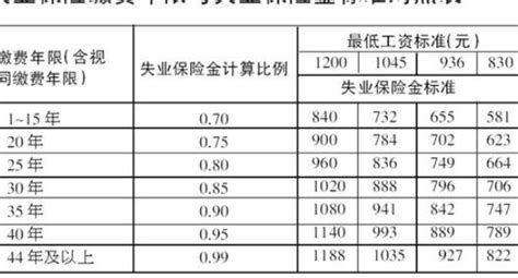 广州失业保险金按月资格核对怎么操作？（附流程）- 广州本地宝