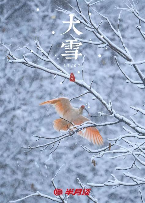 在雪上阳光明媚的天气下写文字大雪纷飞冬天手写的图片素材-正版创意图片307679725-摄图网