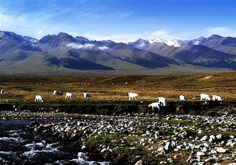 新疆伊犁风光高清图片下载-正版图片500237256-摄图网