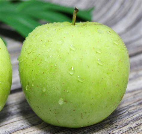 青苹果有哪些品种名称,青苹果脆甜是什么品种,青苹果的种类有哪些(第12页)_大山谷图库