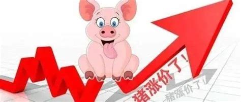 三年内猪价走势如何？请看数据说话！