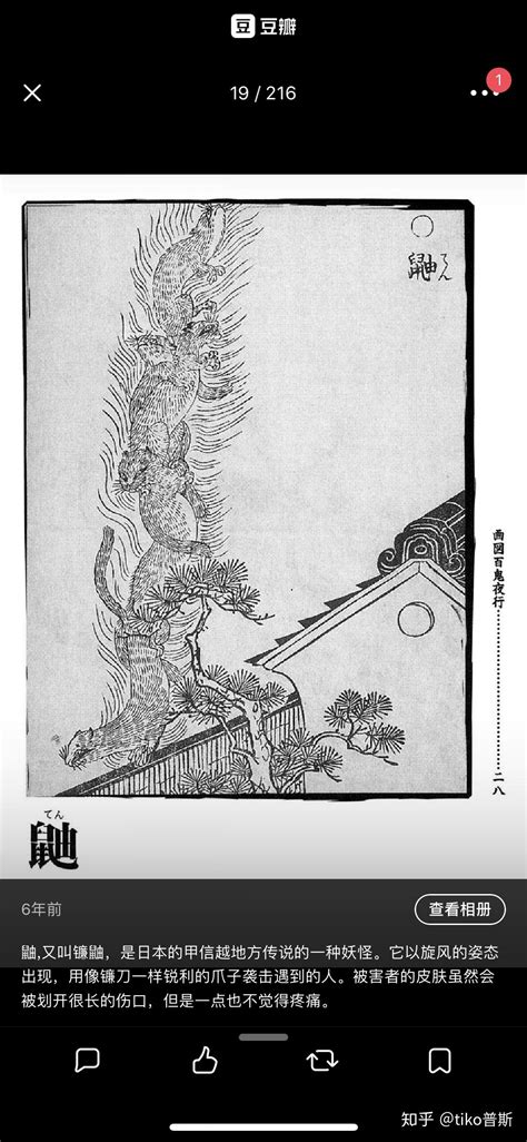日本的阴阳师，为何能够操纵式神？_符箓