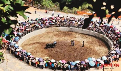 2018中国凯里斗牛节暨六省斗牛联赛将于7月23日在白午东方斗牛城盛大举行