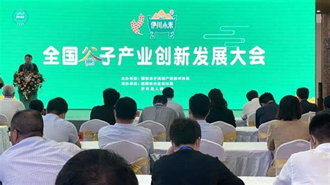 全国谷子产业创新发展大会在河南伊川县举行- 省内要闻 - 河南省农业农村厅