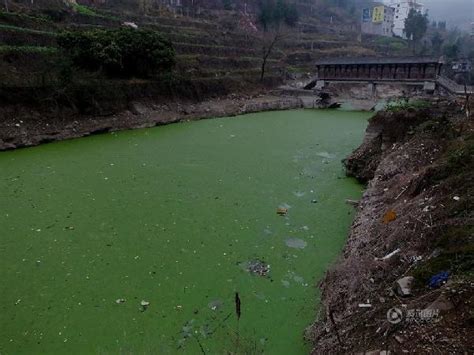 长江支流水质污染严重如绿色油漆_海口网