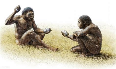 人类的“直系祖先“—上新世时期的古猿_南方_物种_阿法