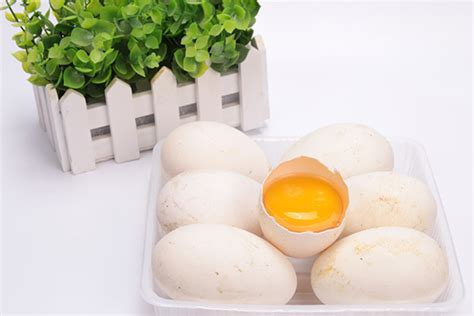 鹅蛋的营养价值及功效与作用 吃鹅蛋的好处_彩牛养生