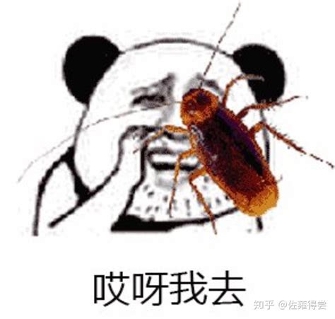 蟑螂恶霸是什么动物_三思经验网