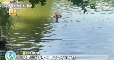 南京紫霞湖仍有市民野泳 安保人员24小时巡查劝导_我苏网