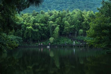 苏欣冉图片