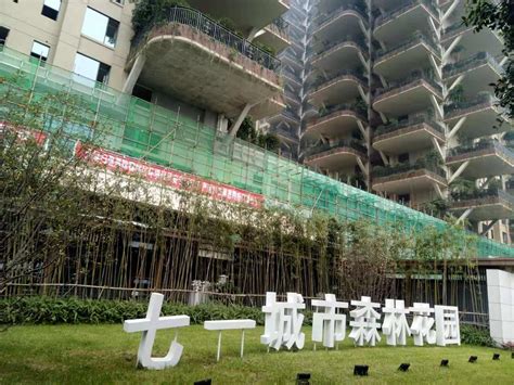 中国首个第四代建筑“七一城市森林花园”在成都正式亮相！ _绿化