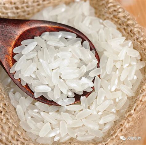 父女手记 篇三：金龙鱼大米是金龙鱼水稻种出来的吗？别被名字带偏了，选购大米要认水稻品种_大米_什么值得买