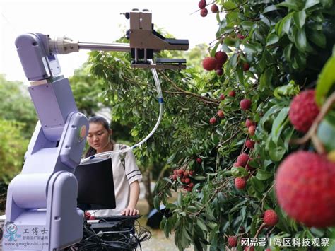 未来农场，可能都是这样的机器人在工作-公司动态-浙江遨博机器人有限公司
