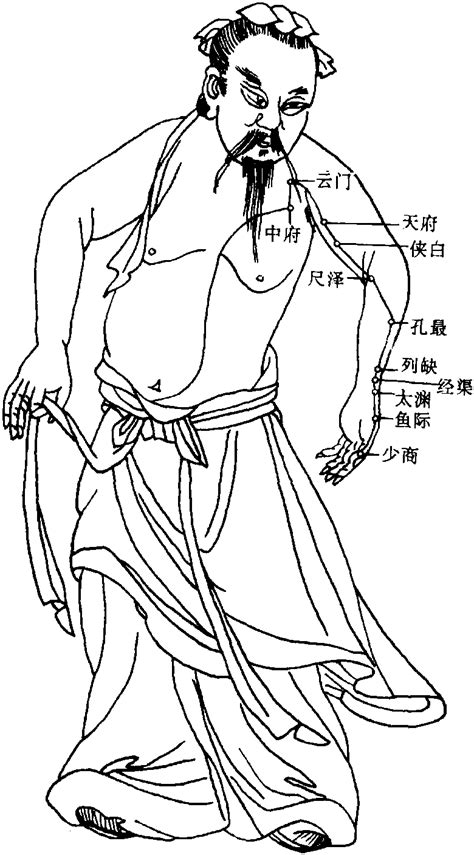 手太阴肺经经络图图片 手太阴肺经经络图图片