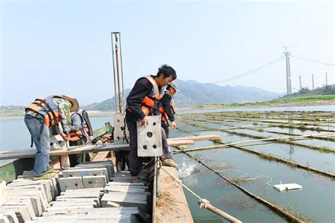 【重庆江津：长江上游首次投放新型人工鱼礁 鱼苗有了“保护伞”】-长江经济带