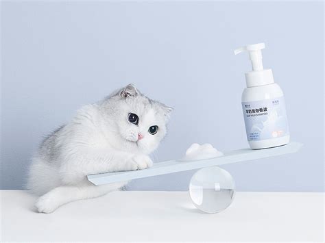 围观洗猫..|摄影|宠物摄影|Kidult猫 - 原创作品 - 站酷 (ZCOOL)