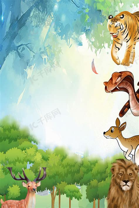 公益海报——保护野生动物|平面|海报|伊浅羽 - 原创作品 - 站酷 (ZCOOL)