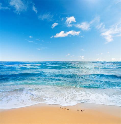 美丽的海滨沙滩高清图片下载-正版图片307507877-摄图网