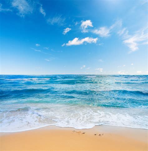 欧美海滩图片
