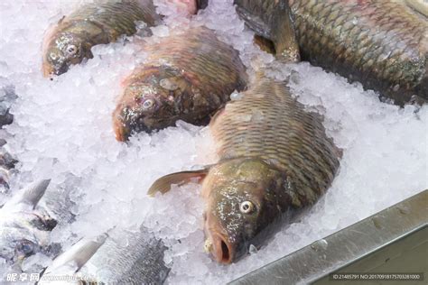 市场上有柠檬的新鲜鱼有冰背景的原始鱼海鲜长尾金鱼东部小高清图片下载-正版图片305823158-摄图网