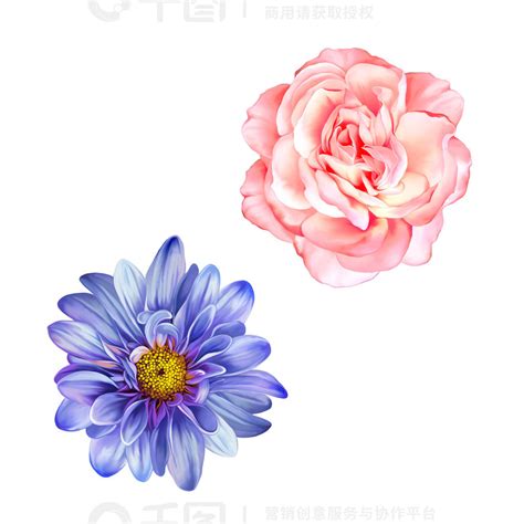 艾蒙墙贴情花BCE102428粉红色图片