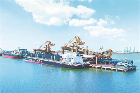 同比增长6%！1至5月河北对RCEP其他成员国实现外贸进出口总值779.3亿元_河北日报客户端
