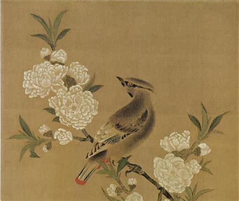 “感时花溅泪,恨别鸟惊心”：宋朝为何成为花鸟画的黄金时代