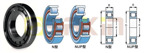SKF单列圆柱滚子轴承选型表 N型 NUP型