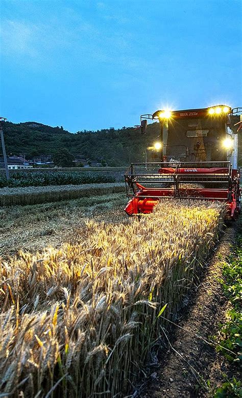 河南麦收进度近85%，日收获超千万亩-大河新闻