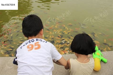喂鱼的小孩高清图片下载_红动中国