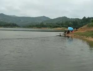 野钓大物—刘家峡水库 - 钓鱼之家