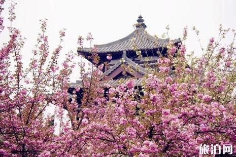 西安植物园春季花展来啦！！！--陕西省西安植物园 陕西省植物研究所