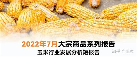 2021年中国玉米市场供需现状及进出口贸易分析：玉米产量达27255.2万吨，占粮食总产量的39.91%[图]_智研咨询