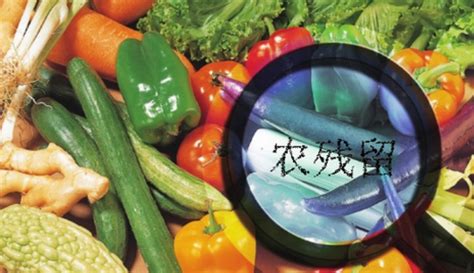 ”农药残留”和“农药超标”概念不同-南京微测生物科技有限公司
