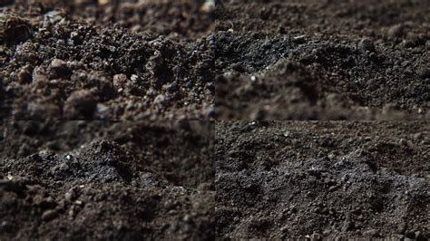 沙质土壤的介绍（沙质土壤是什么） - 达达搜