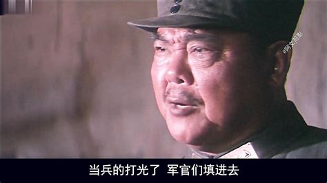 1989年，79岁陕西老农看《血战台儿庄》，落泪说：那是我打下的_仵德厚_抗战_英雄
