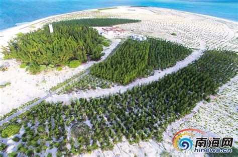 三沙儿女敢叫沙洲变绿洲 去年岛礁植树200多万株-三沙新闻网-南海网