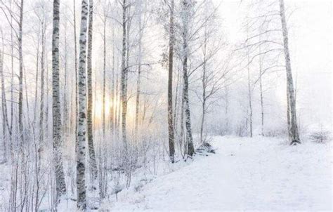 解锁最美冬季赏雪地 冰雪世界美若童话-图片频道