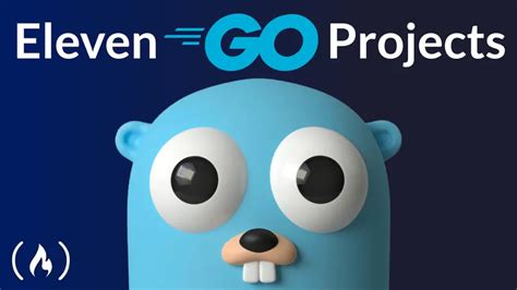Go编程项目实战教程,Learn Go Programming by Building 11 Projects – Full Course_学术FUN