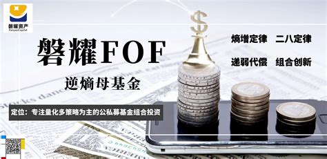 基金业绩评价及其在FOF投资中的运用（PPT干货）-基金频道-金融界