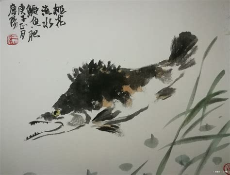 鳜鱼图片水墨,鳜鱼图片卡通_大山谷图库