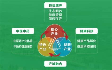 2019-2020中国大健康产业发展趋势分析-SOFO索弗
