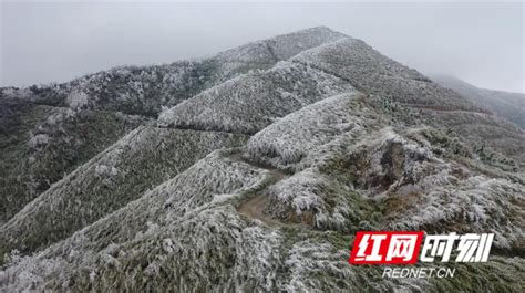 江永：铜山岭迎来首场雾凇美景_社会热点_社会频道_云南网