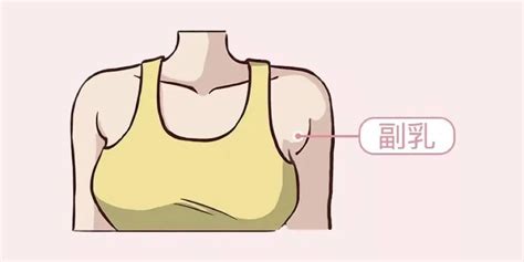乳首图片