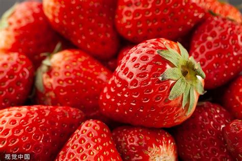 怎么种草莓 草莓种植方法_伊秀花草|yxlady.com-广州伊秀网络科技有限公司