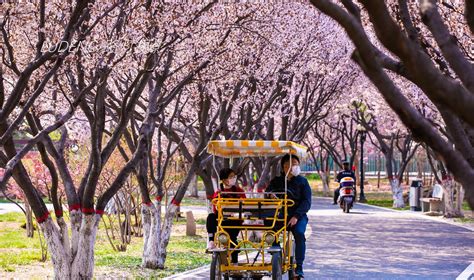 春暖花开，桂林植物园是个值得一去的地方！