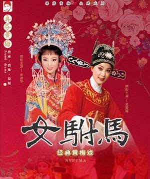 第二届黄梅戏艺术周将开幕_第九届中国（安庆）黄梅戏艺术节官方网站