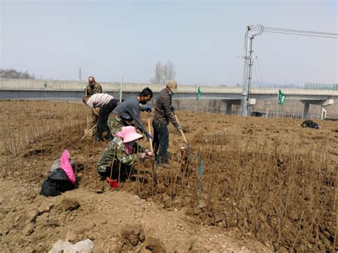 集双高速公路辽源境内连接线项目正式复工-中国吉林网